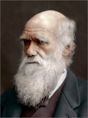 Poster Charles Darwin