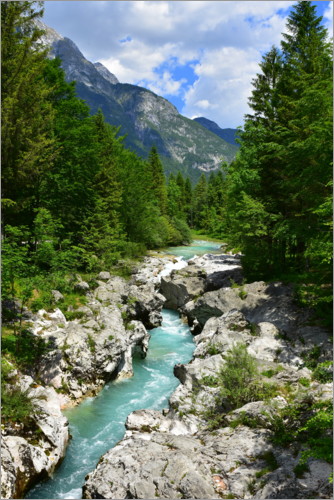 Poster Wild stream in Slovenia