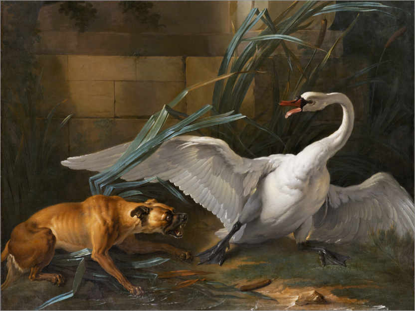Poster Swan attacked by a dog