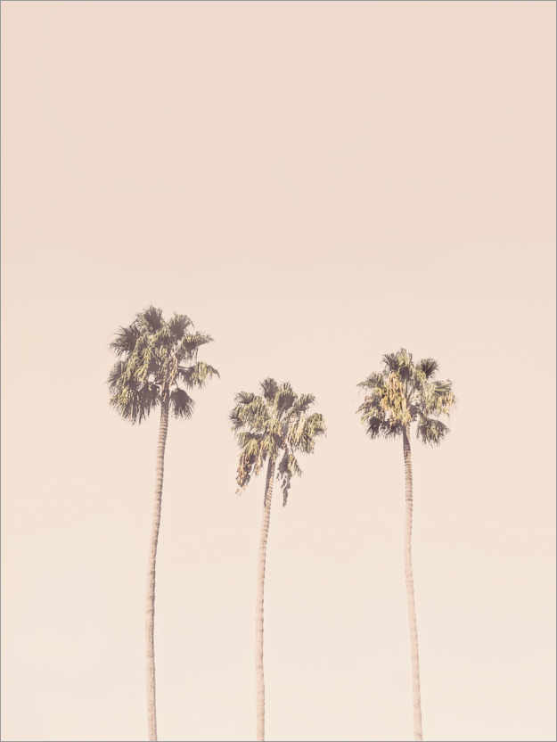 Poster Blush palm trees