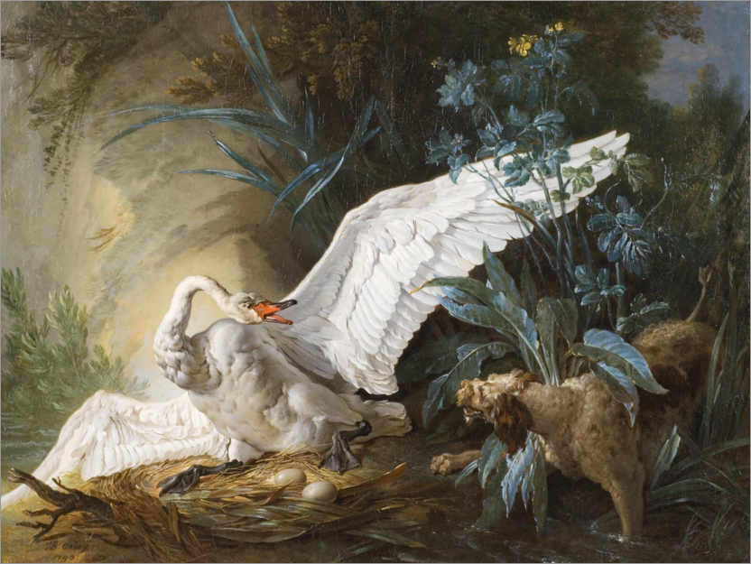 Poster Dog surprises a swan on its nest