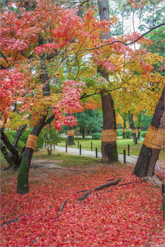 Poster Okayama, Japanese garden