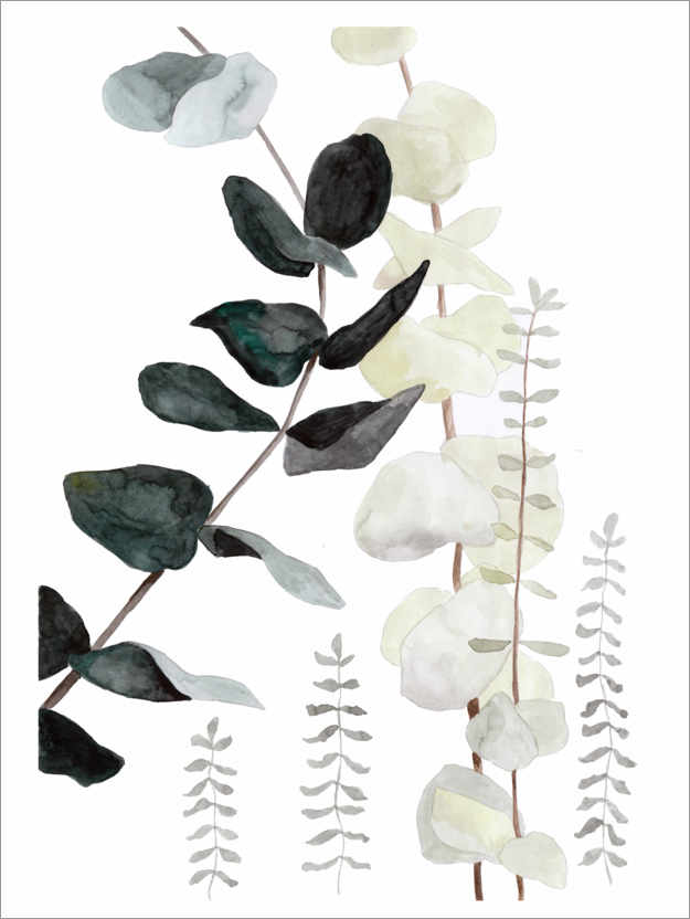 Poster Botanical illustration mix