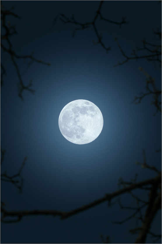 Poster Full moon in the night sky