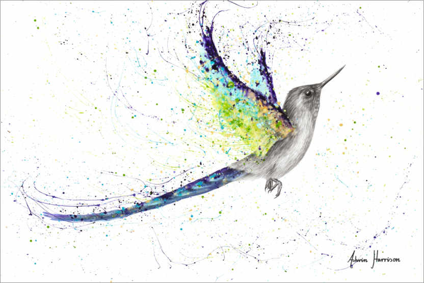 Poster Mysterious hummingbird