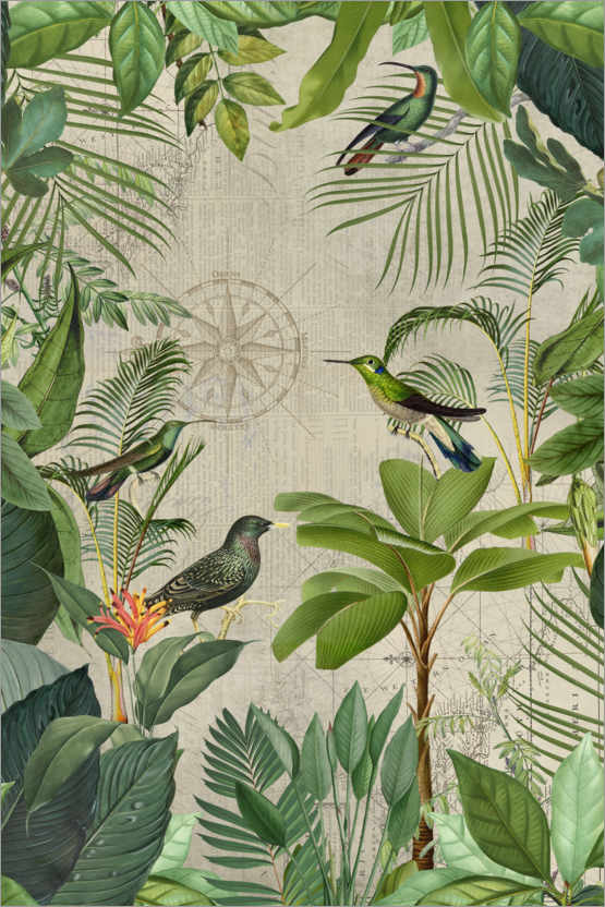 Poster Tropical Journey Of Birds