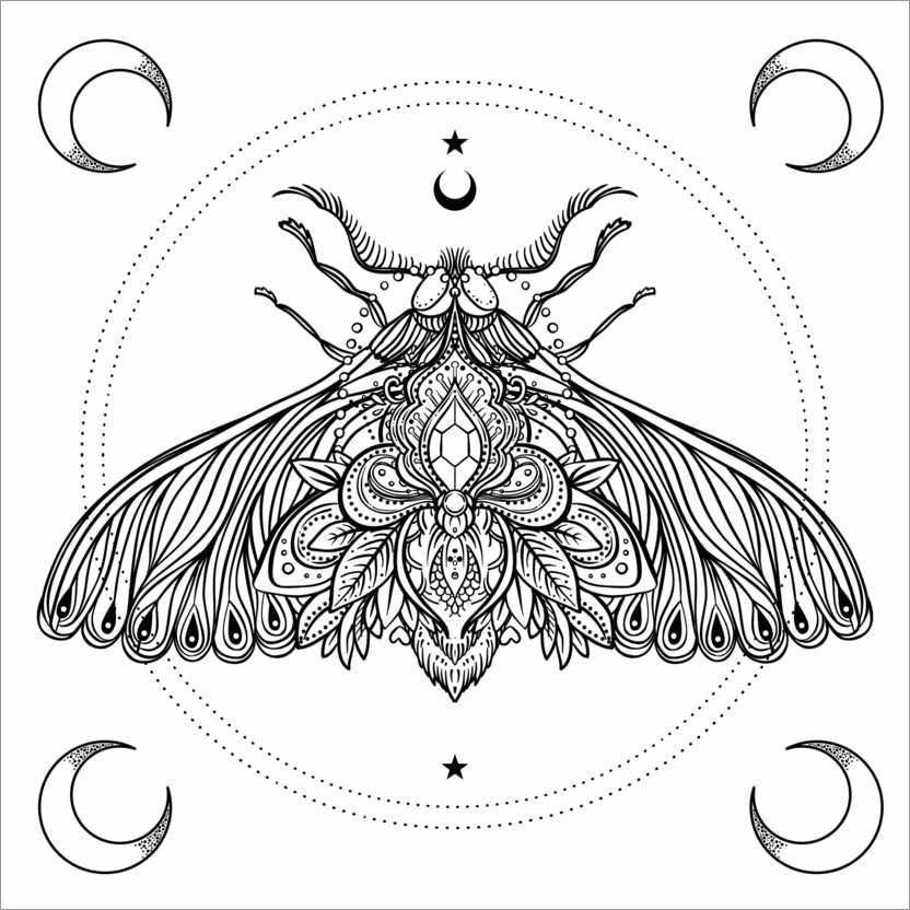 Colouring poster Moon moth