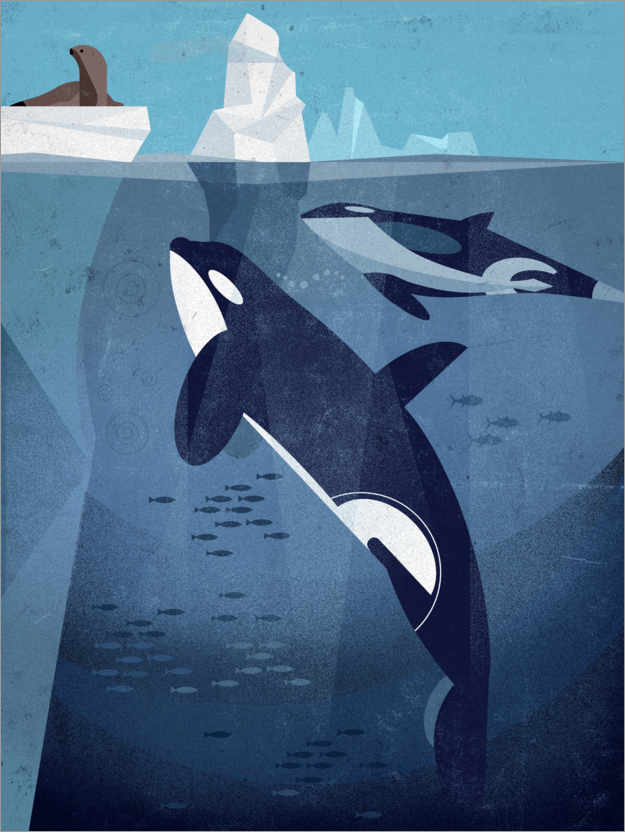 Poster Orca