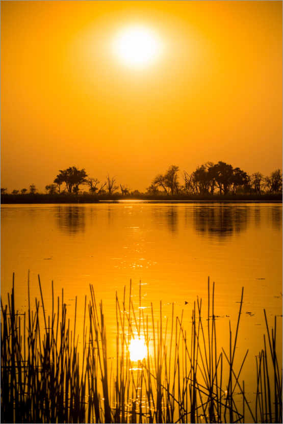 Poster River landscape in the Okavango Delta