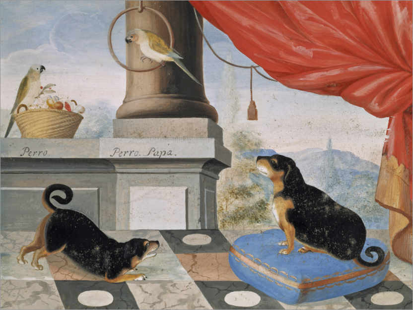 Poster Two dogs and two parrots on a terrace