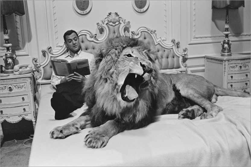 Poster Tony Randall with lion Zamba, 1965