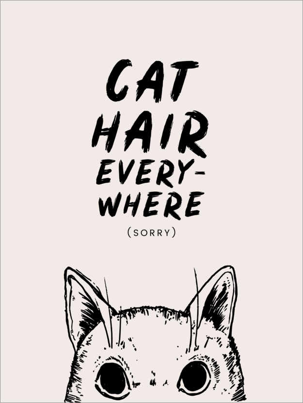 Poster Cat Hair Everywhere
