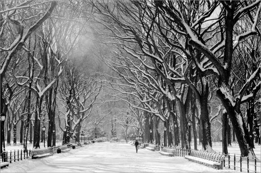 Poster Central Park im Winter