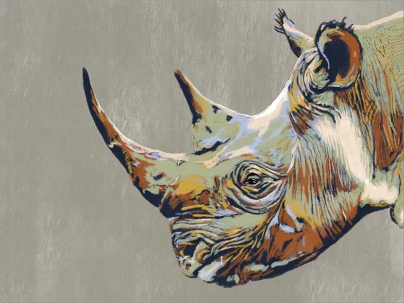 Poster Rhinoceros