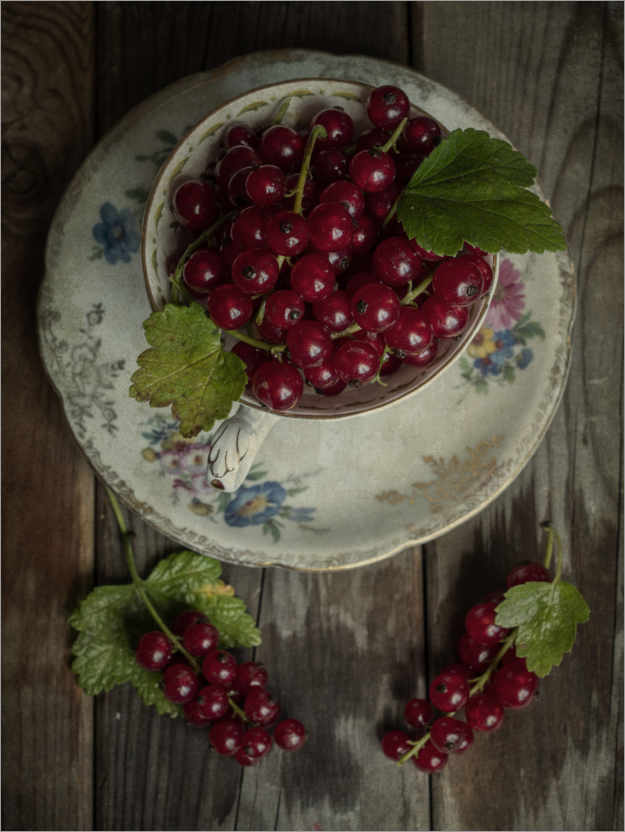 Poster Still life with fresh redcurrants