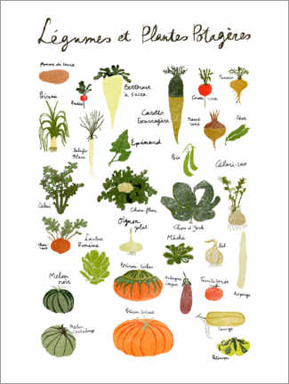 Poster Vegetables (French)