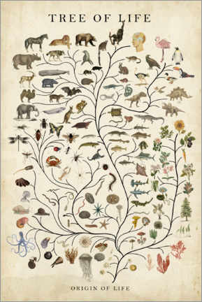 Poster Tree of Life - Studio W