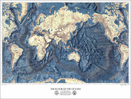 Canvas print  The Floor of the Oceans - Wunderkammer Collection