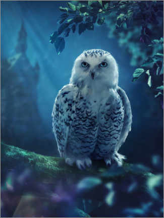 Poster Snow owl