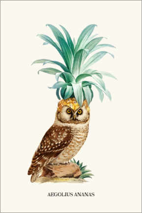 Poster Pineapple owl