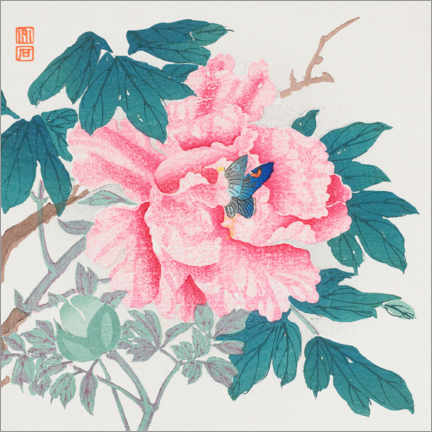 Canvas print  Peony and butterfly - Nagamachi Chikuseki