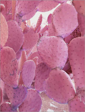 Wood print  Pink cactus - Linnea Frank