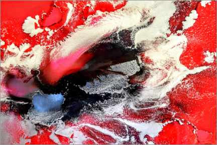 Aluminium print  Red Dream - Amber Lamoreaux