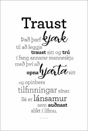 Poster  Trust (Icelandic) - Story of my heart