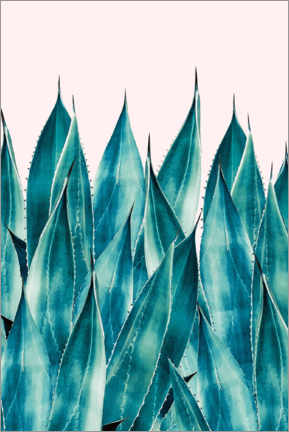 Poster Summer Agave