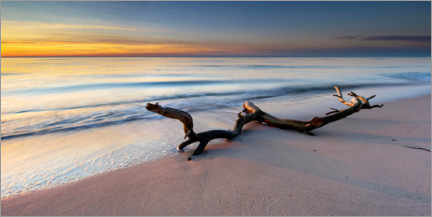 Poster  Sandy beach at sunset - Andreas Vitting