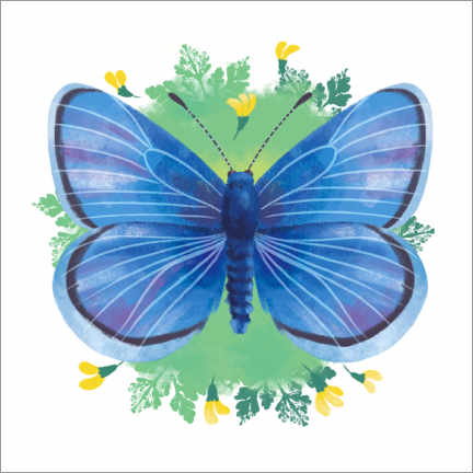 Poster  Endangered wildlife: palos verdes blue butterfly - Leonora Camusso