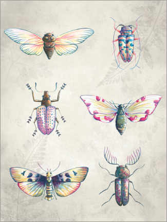 Acrylic print  Colorful beetles - Leonora Camusso