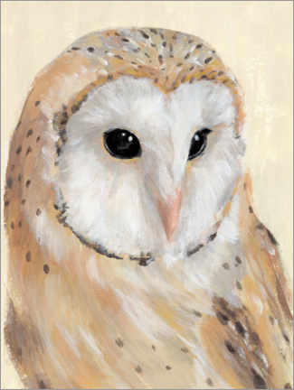 Poster Barn Owl II