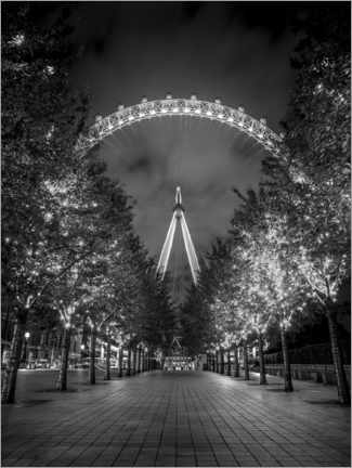 Aluminium print  London Eye - Assaf Frank