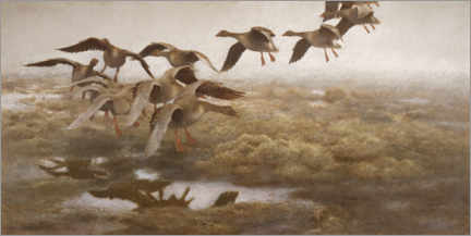 Canvas print  Landing wild geese - Bruno Andreas Liljefors