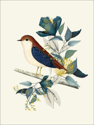 Poster Floral with bird I
