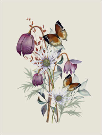 Aluminium print  Floral with butterflies I. - Nicola Evans