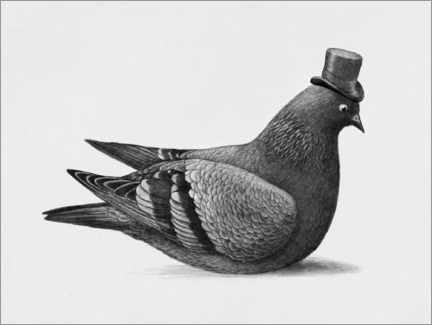 Poster Dapper Pigeon