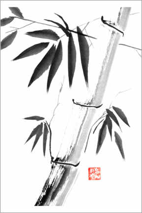 Acrylic print  Bamboos 06 - Péchane