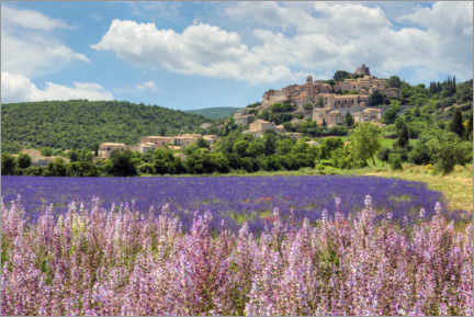 Poster Lavender blossom in Provence