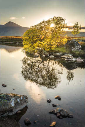 Poster  Evening light on Rannoch Moor, Scotland - Christian Müringer