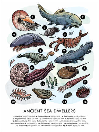 Canvas print  Ancient Sea Dwellers - Velozee