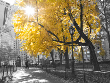 Poster Yellow tree in New York I