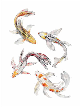 Poster Koi fish
