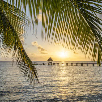 Canvas print  Sunset on the palm beach - Jan Christopher Becke