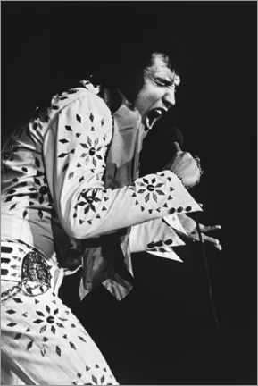 Poster  Elvis Presley On Tour 1972