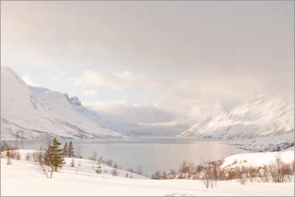 Poster Nordic winter landscape