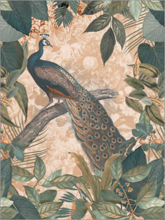 Canvas print  Vintage Peacock - Andrea Haase
