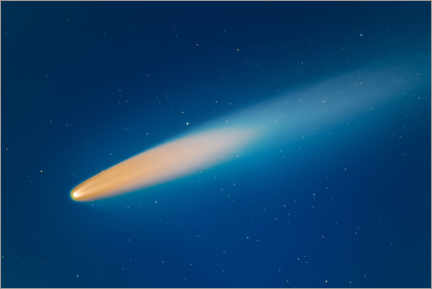 Wood print  Comet Neowise - Clearsky Astrofoto
