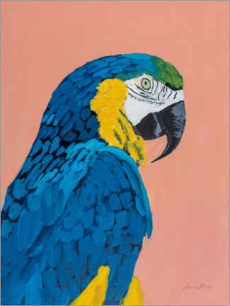 Wall sticker  Blue and Gold Macaw - Pamela Munger